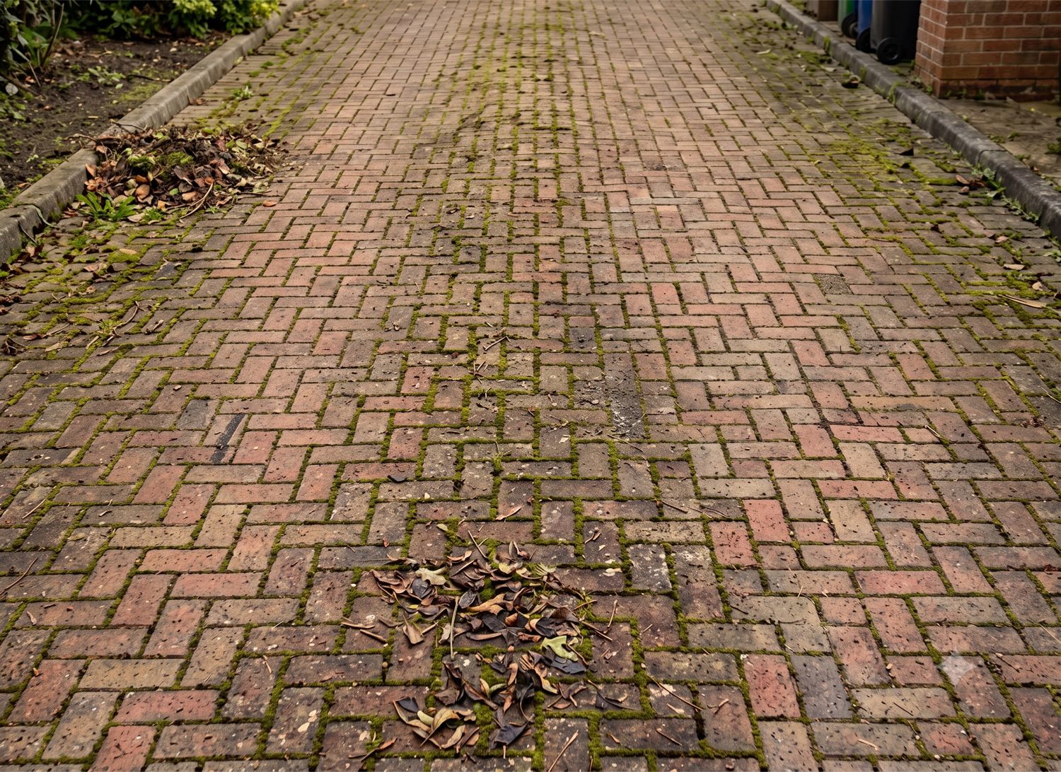 Block-paving driveway before cleaning — moss and weeds in the joints