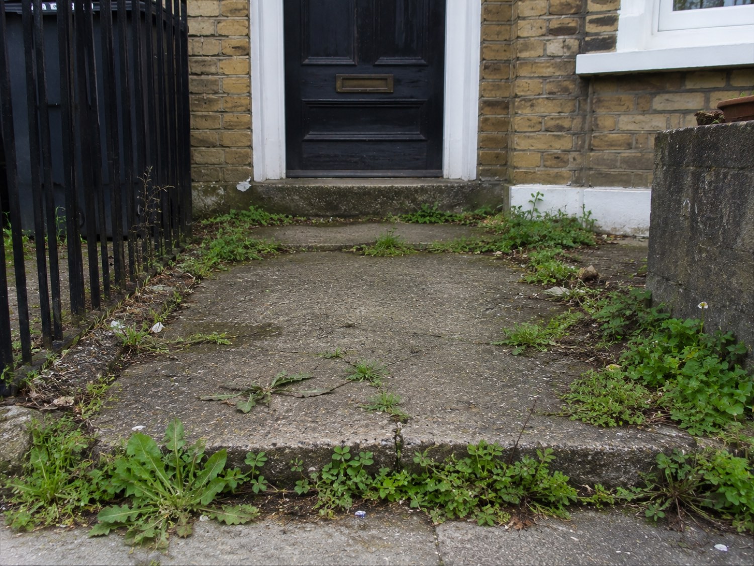 Front path before weed removal — weeds through the joints